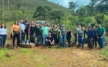 Plantio de mudas ao pé do Pico dos Três Irmãos marca o início da criação da unidade de conservação em Brumadinho