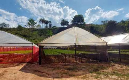 Programa repassou mais de 35 mil itens para produção agropecuária em Brumadinho, em 2024