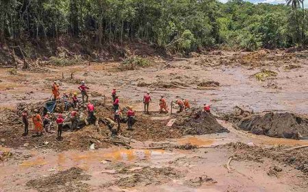 Bombeiros localizam mais um segmento corpóreo em Brumadinho