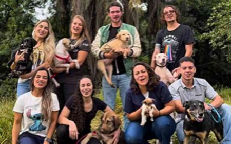 Brumadinho realiza a maior feira de adoção de animais da cidade