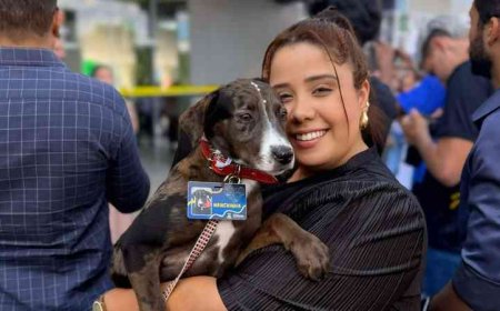 Cachorros do Centro Administrativo de Brumadinho ganham novo lar com a chegada do frio