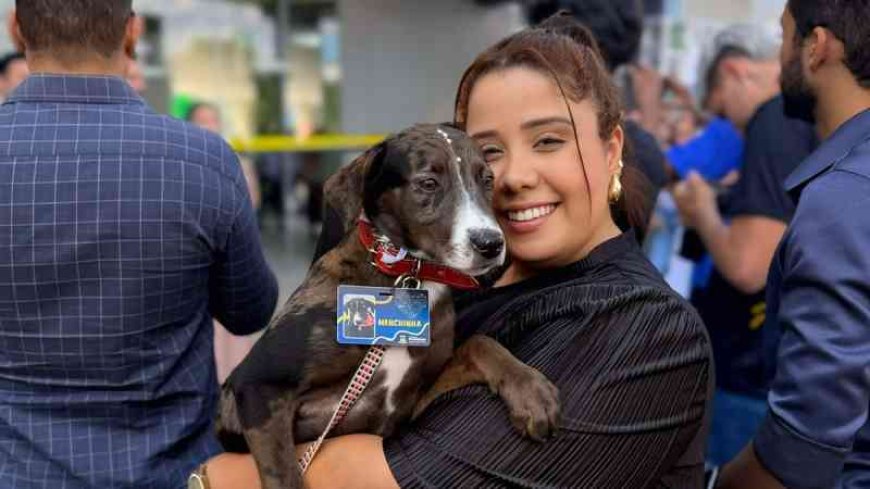 Cachorros do Centro Administrativo de Brumadinho ganham novo lar com a chegada do frio