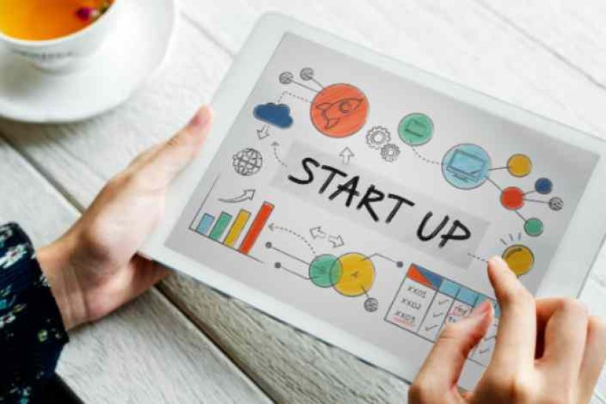 Duas startups de Itajubá estão entre as top 30 do Prêmio Sebrae Startups
